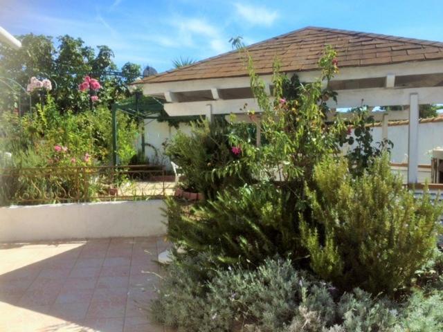 Appartement 3 Chambres Proche Mer Entre Palavas Les Flots Et Frontignan Plage Dans Maison Avec Jardin Вільнев-ле-Маґлон Екстер'єр фото
